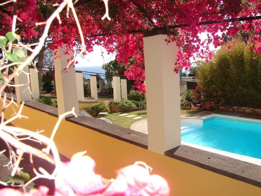 Private Pool Apt. With Great View Funchal  Kültér fotó